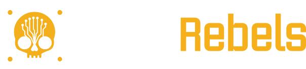 DataRebels LLC
